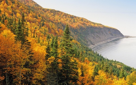 autumn lake  - lake, autumn