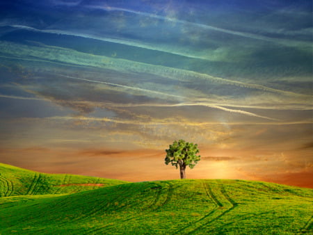 only to be with you  - sky, tree, 3d, green