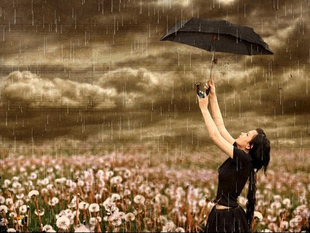 Rain - storm, flowers, umbrella, rain, girl