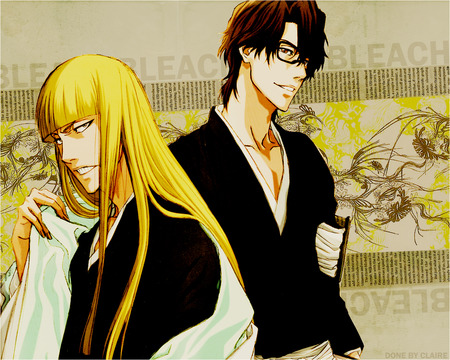 aizen sousuke, Hirako Shinji - captain, anime, bleach