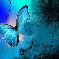 Blue Butterfly