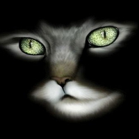 Greeneyed Feline