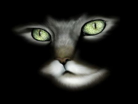 Greeneyed Feline - animal, kitten, green, eyes, green eyes, cat, kitty