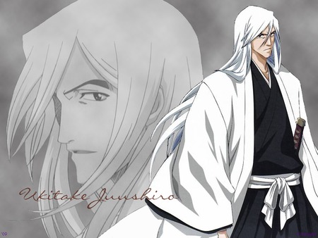 Ukitake Jyuuahiro - captain, anime, bleach