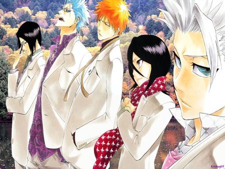 bleach - anime, ishida, rukia, bleach, grimmjow, toushiro, ichigo, espada