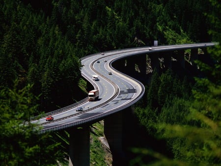 Forest Winding  road - road, winding, forest, nature