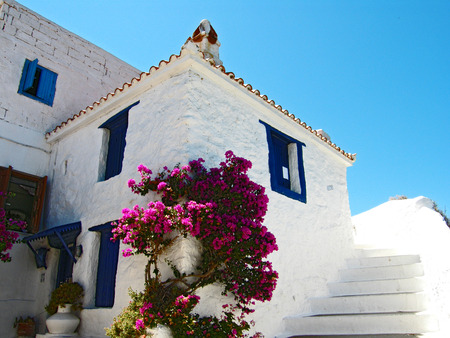 the most beautiful stairs - flowers, house, stairs, white, island