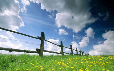 Ground View - clouds, nature, grass, field, fence, sky