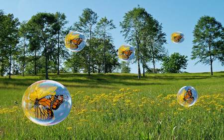 Floating Butterflys - butterflys, bubble, floating, summer