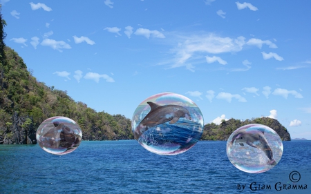 Dolphin Bubbles - bubbles, dolphin, dolphins, ocean