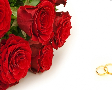 wedding rings - roses, bands, red, two, wedding