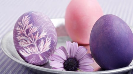 easter - eggs, easter, plate, purple pink