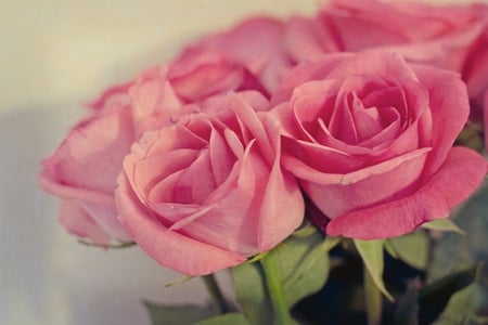 Loving you this way♥ - warm, pretty, roses, loving, soft pink, fashion, entertainment, lovely, love, bouquet, sweet, fresh, design, green, arrangement, floral