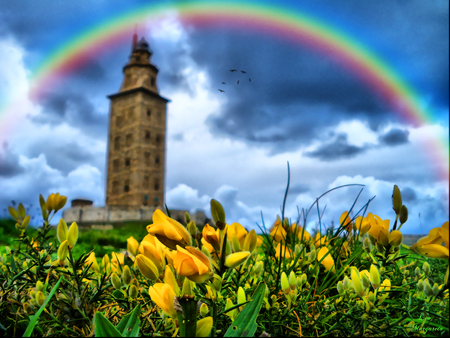 nature__s_colors - pretty, flowers, nice, rainbow