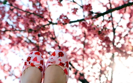 happy feet - woman, sky, spring bloom, sunlight, bloom, heart, spring, ladybug, ladybird, pink, feets, blossom, tree, feet, happy, shoes