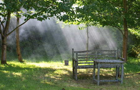 nature - trees, smoke, nature, garden