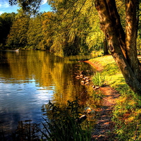 Calm lake