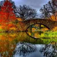 Bridge reflection