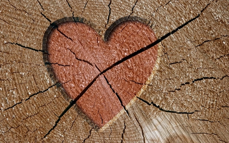 wooden earth - love, heart, tree, wood