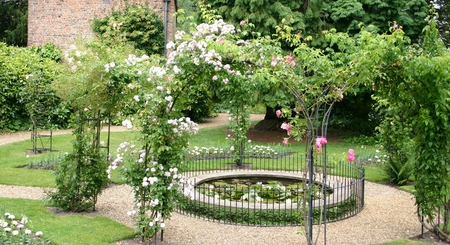 garden - nature, roses, arches, green, house