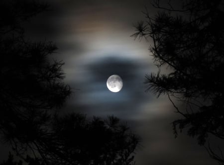 Beautiful Moon - quiet, dark, blue, soft