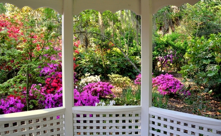 view from the veranda - nature, veranda, flowers, house, garden