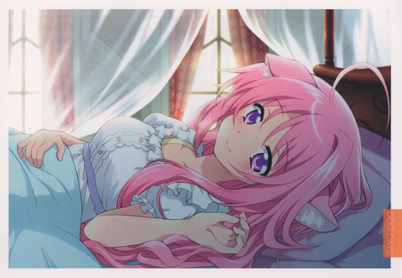 Dog Days - cute, nice, anime, bed