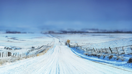 end of the road - winter, dead end, fence, road