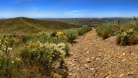 trail on the high plain - bushes, hills, trail, palin