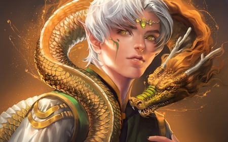 My Dragon - eyes, guy, boy, dragon, hd, face, abstract, beautiful, digital art, cool, hair, elf, digital painting, cg, fantasy, graceful, legend