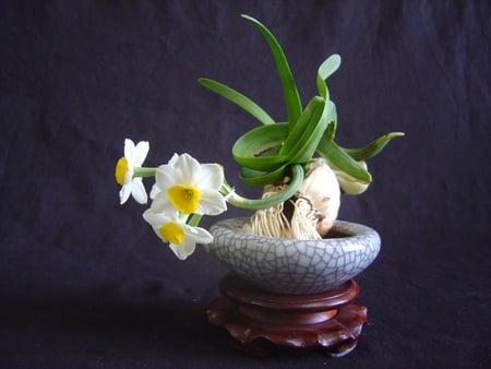 Faithful Love♥ - yellow, fashion, entertainment, daffodils, elegance, ceramic vase, purity, forever, deep blue, beauty, love, good fortune, white, faithful, design, green, respect, floral