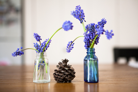 Tiny Purple Ones♥ - fir cone, magic, lavender, fashion, entertainment, light, precious, tiny, flowers, blue vase, purple, violet, simply beautiful, special, decor, table, morning, arrangement, bright, floral