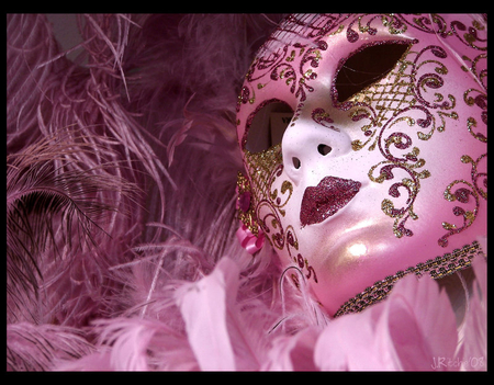 Venetian Carnival Mask - mask, carnival, venetian, beautiful