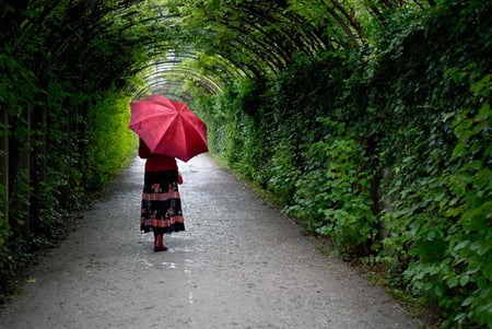 The red umbrella - nature, pretty, red, beautiful, garden