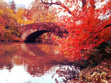 Peaceful autumn day - lake, sky, autumn, water, calm, fall, reflection, red, beautiful, river, leaves, bridge, pond