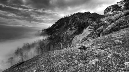 mist on mountain in virginia - trees, monochrome, mountain, mist