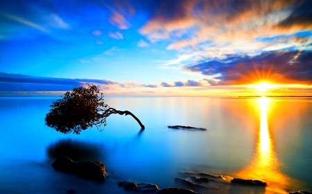 BRAND NEW DAY - lake, clouds, sun, tree, sunrise