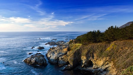 california coast - ocean, trees, rocks, shore