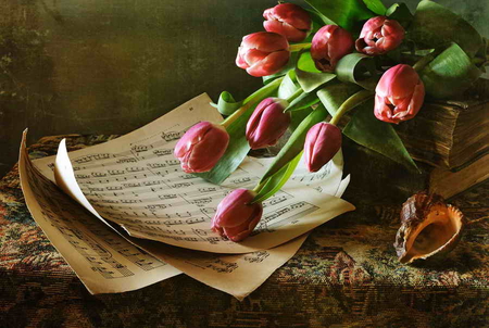 Tulips for the misician - nice, seashell, tulips, music, notes, still life, lovely, romantic, pretty, beautiful, pink, flowers