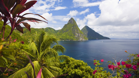 Beautiful View - sky, flower, view, beautiful, ocean, green