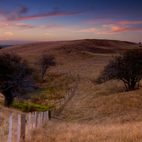 sunset over two and a half trees