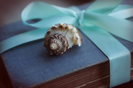 book and shells - shells, ruban, book, blue