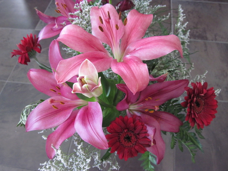 Flowers 01 , International women s day on March 08 - flowers, white, red, green, photography, pink