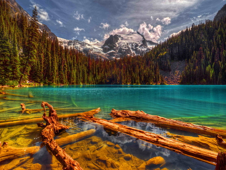 Calm emerald waters - lake, sky, peaceful, summer, shore, calm, forest, woods, clouds, emerald, beautiful, green, waters, sunny, pond