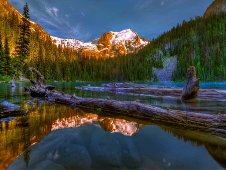 Mirrored lake - summer, water, mirrored, beautiful, peaceful, lake, pond, reflection, trees, nature, mountain, calm