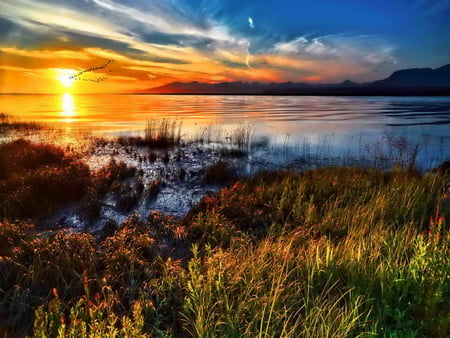 New day - pretty, calm, yellow, amazing, beach, sunrise, reflection, shore, nice, sky, sun, clouds, saunset, water, beautiful, mirrored, sea, morning, lovely, ocean, glow, glowing, nature, day, peaceful, new