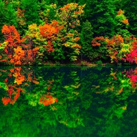 AUTUMN REFLECTION