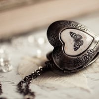 â™¥Butterfly Heart Locketâ™¥