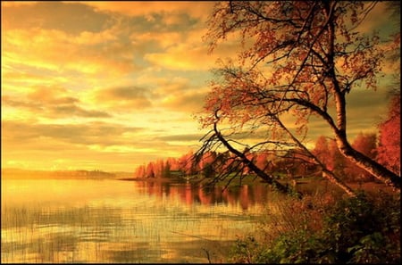 October gold - sky, water, sunlight, clouds, gold, trees, autumn