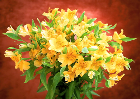 I wish you a bright sunny day - flowers, yellow, arrangement, green, gold, leaves